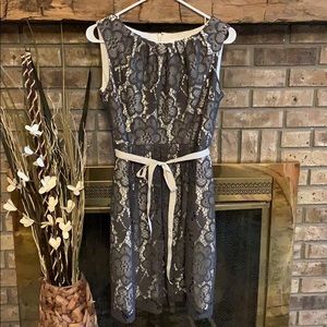 SD Collection Grey Lace Dress Size 4